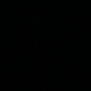 Meet your Posher, Riley